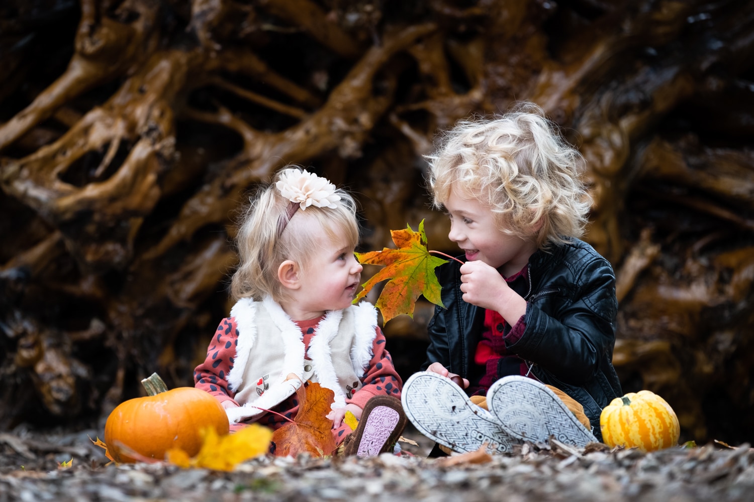 little boy and his baby sister sitting in the autumn leaves