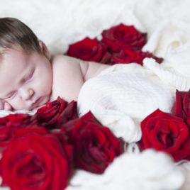 Newborn sleeping with roses besides, photograph captured by Dena Shearer