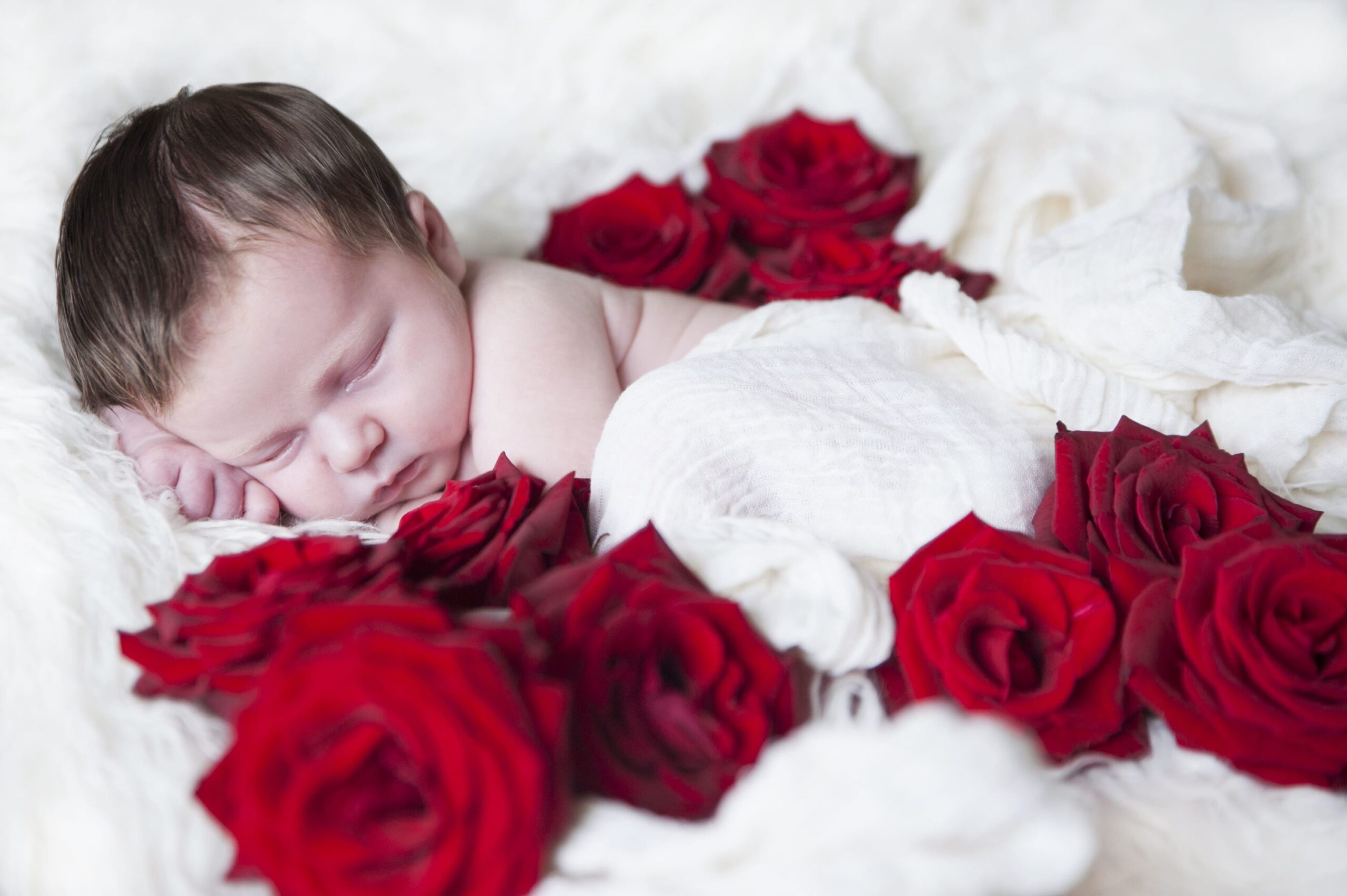 Newborn sleeping with roses besides, photograph captured by Dena Shearer
