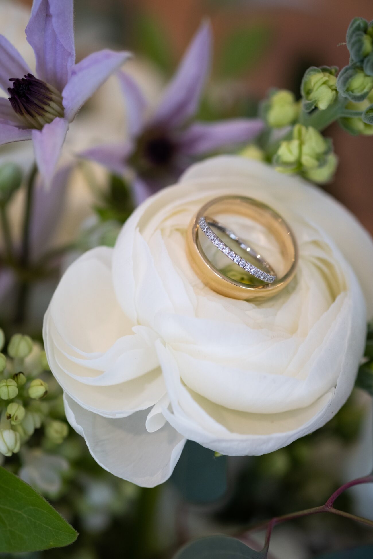 detail shot of the rings at Ballymagarvey VIllage